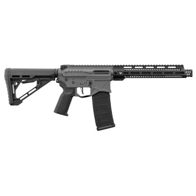 Réplique R15 mod 1 Zion Arms noir/gris garde main long