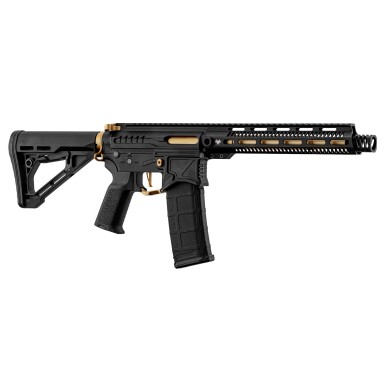 Réplique R15 mod 1 Zion Arms noire et or garde main long