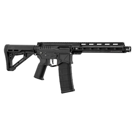 Réplique R15 mod 1 Zion Arms noire garde main long